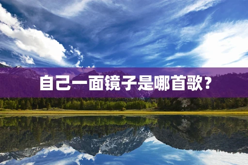 自己一面镜子是哪首歌？