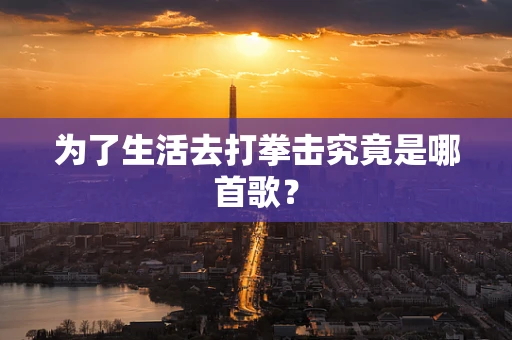 为了生活去打拳击究竟是哪首歌？