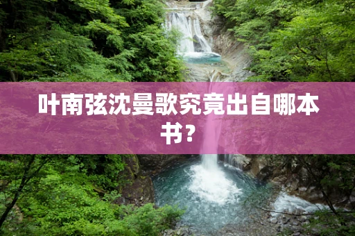 叶南弦沈曼歌究竟出自哪本书？
