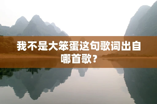 我不是大笨蛋这句歌词出自哪首歌？