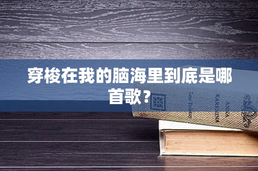 穿梭在我的脑海里到底是哪首歌？