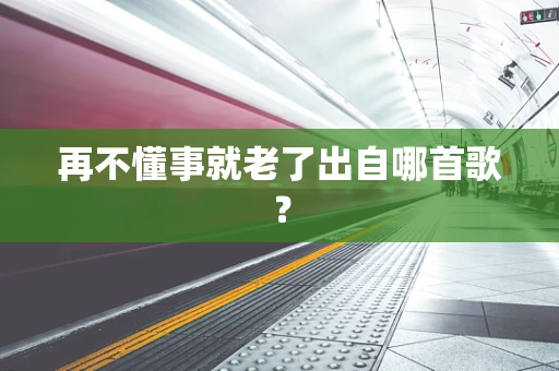 再不懂事就老了出自哪首歌？