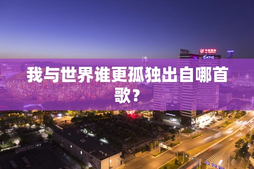 我与世界谁更孤独出自哪首歌？