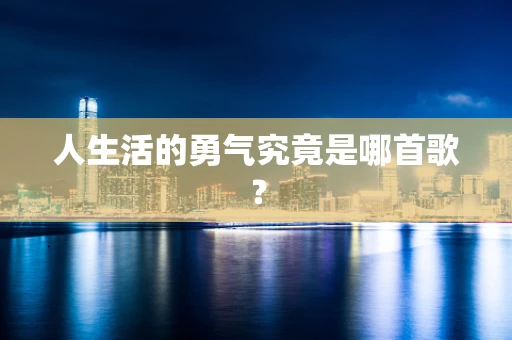 人生活的勇气究竟是哪首歌？