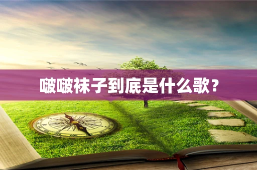 啵啵袜子到底是什么歌？