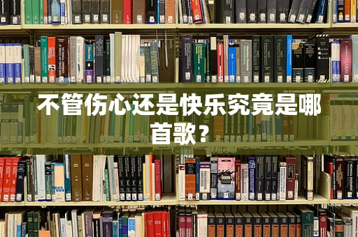 不管伤心还是快乐究竟是哪首歌？
