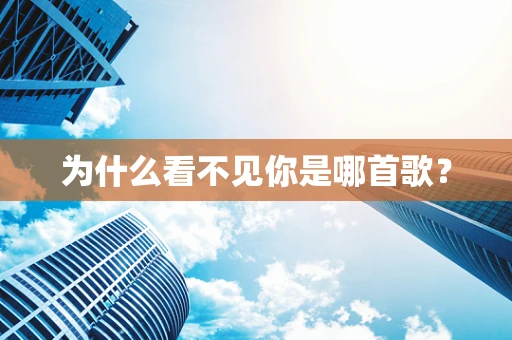 为什么看不见你是哪首歌？