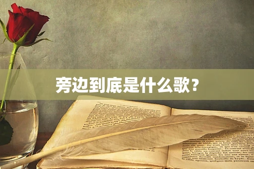 旁边到底是什么歌？