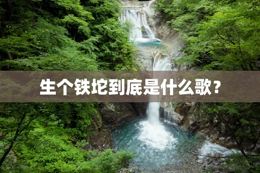 生个铁坨到底是什么歌？