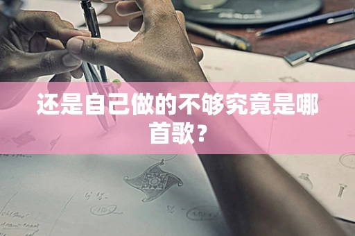 还是自己做的不够究竟是哪首歌？
