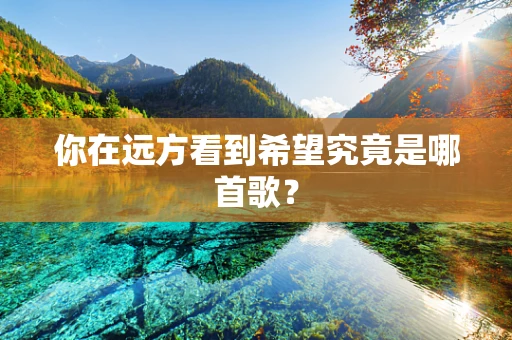 你在远方看到希望究竟是哪首歌？
