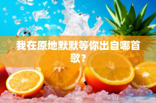 我在原地默默等你出自哪首歌？