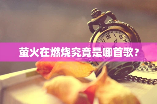 萤火在燃烧究竟是哪首歌？
