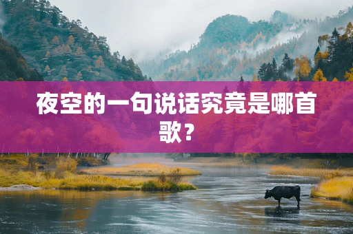 夜空的一句说话究竟是哪首歌？