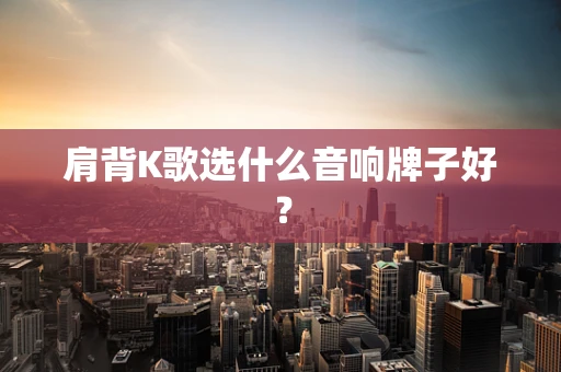 肩背K歌选什么音响牌子好？