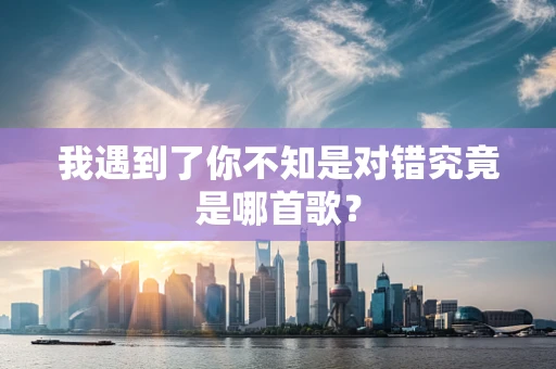 我遇到了你不知是对错究竟是哪首歌？