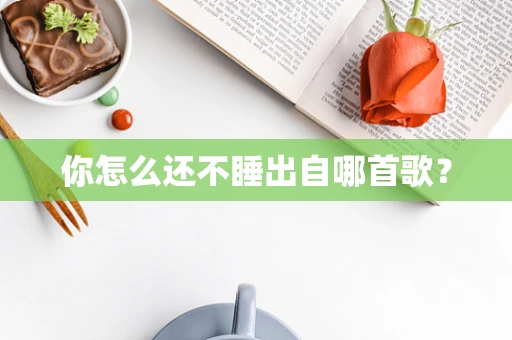 你怎么还不睡出自哪首歌？