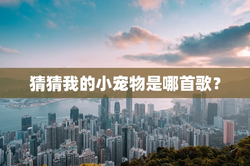 猜猜我的小宠物是哪首歌？