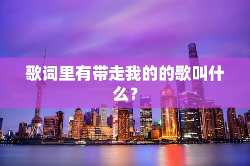 歌词里有带走我的的歌叫什么？