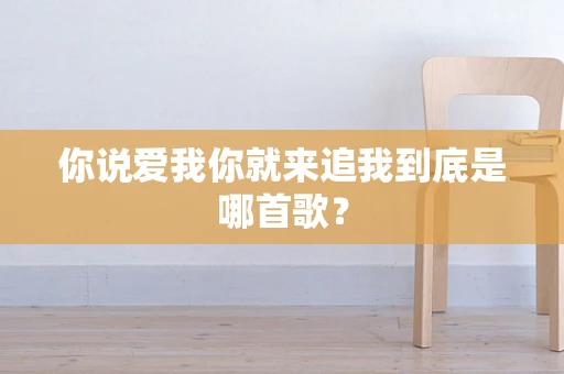 你说爱我你就来追我到底是哪首歌？