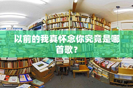 以前的我真怀念你究竟是哪首歌？