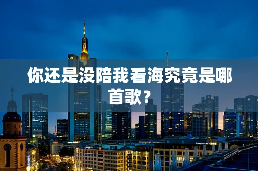 你还是没陪我看海究竟是哪首歌？