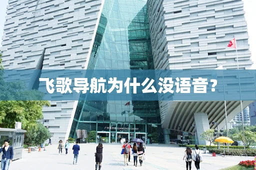 飞歌导航为什么没语音？