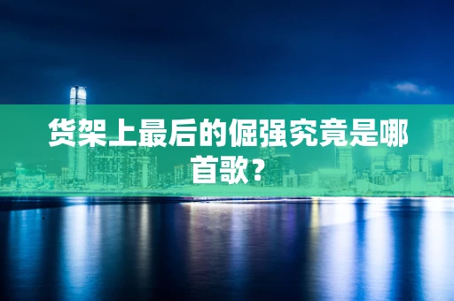 货架上最后的倔强究竟是哪首歌？