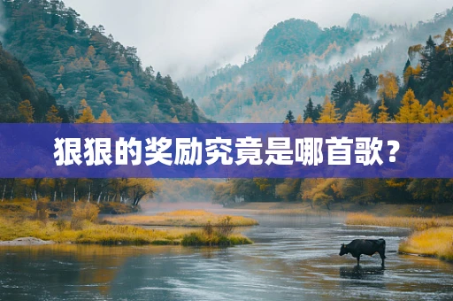 狠狠的奖励究竟是哪首歌？