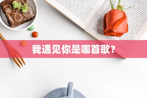 我遇见你是哪首歌？