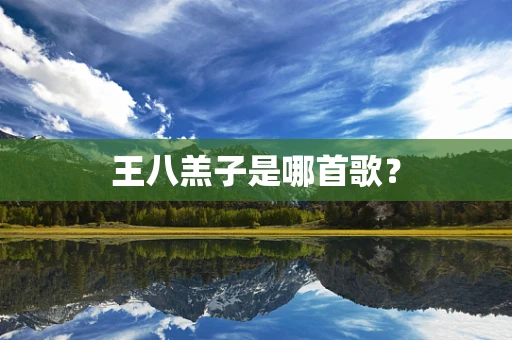 王八羔子是哪首歌？