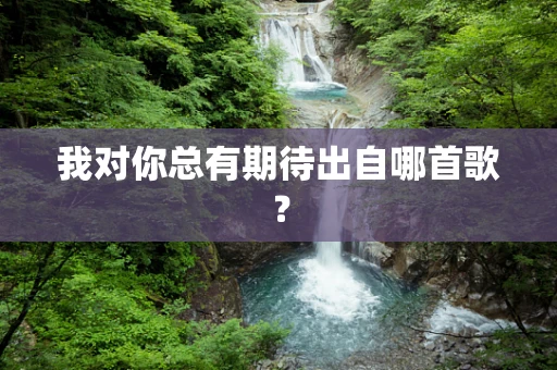 我对你总有期待出自哪首歌？