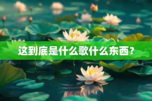 这到底是什么歌什么东西？