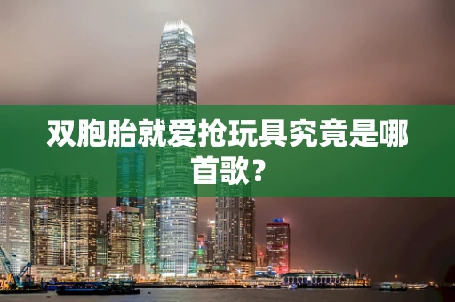 双胞胎就爱抢玩具究竟是哪首歌？