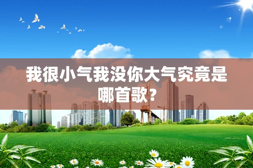 我很小气我没你大气究竟是哪首歌？