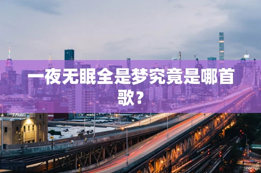 一夜无眠全是梦究竟是哪首歌？