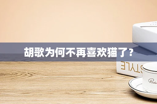 胡歌为何不再喜欢猫了？