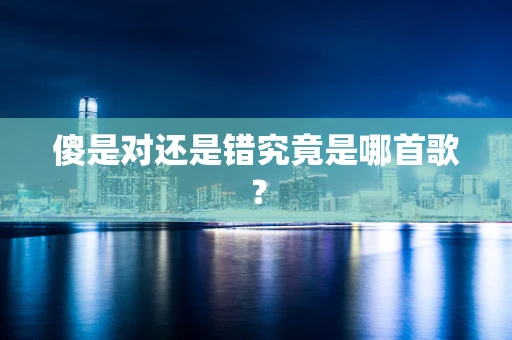 傻是对还是错究竟是哪首歌？