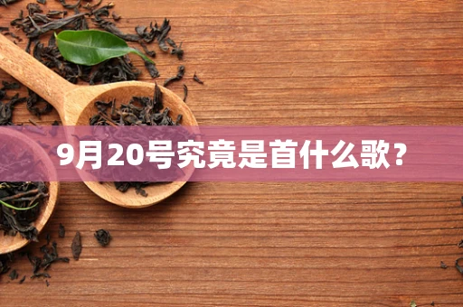 9月20号究竟是首什么歌？