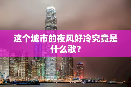 这个城市的夜风好冷究竟是什么歌？
