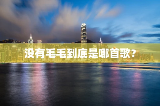 没有毛毛到底是哪首歌？