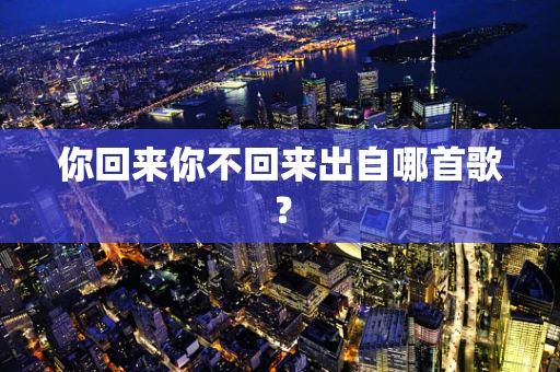 你回来你不回来出自哪首歌？