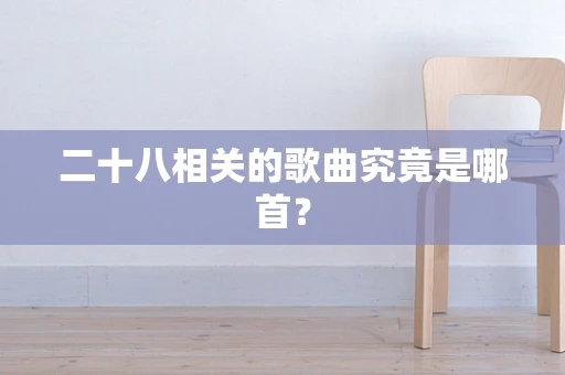 二十八相关的歌曲究竟是哪首？