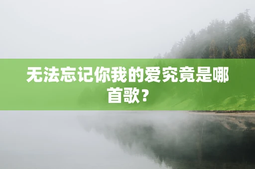无法忘记你我的爱究竟是哪首歌？