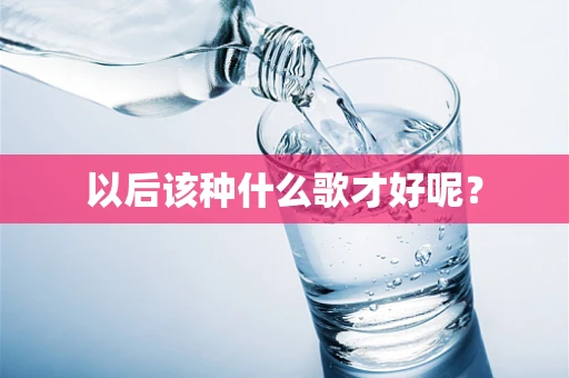 以后该种什么歌才好呢？