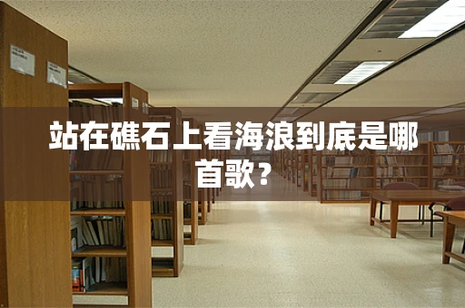 站在礁石上看海浪到底是哪首歌？