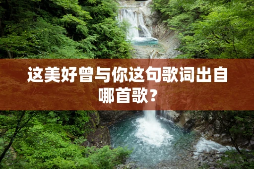 这美好曾与你这句歌词出自哪首歌？