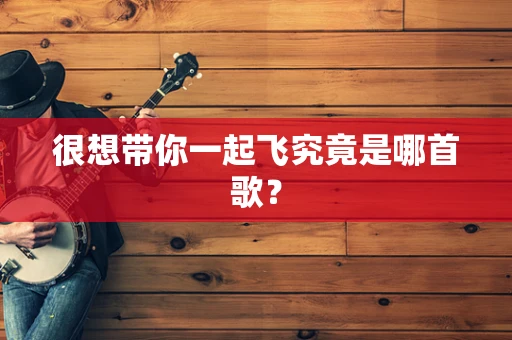很想带你一起飞究竟是哪首歌？