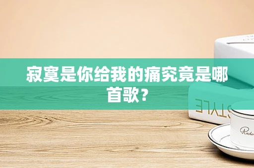 寂寞是你给我的痛究竟是哪首歌？