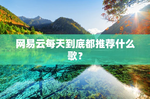 网易云每天到底都推荐什么歌？
